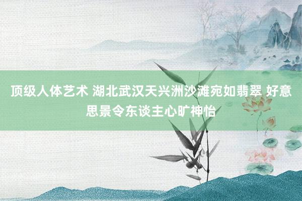 顶级人体艺术 湖北武汉天兴洲沙滩宛如翡翠 好意思景令东谈主心旷神怡