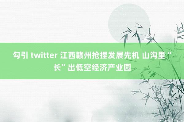 勾引 twitter 江西赣州抢捏发展先机 山沟里“长”出低空经济产业园