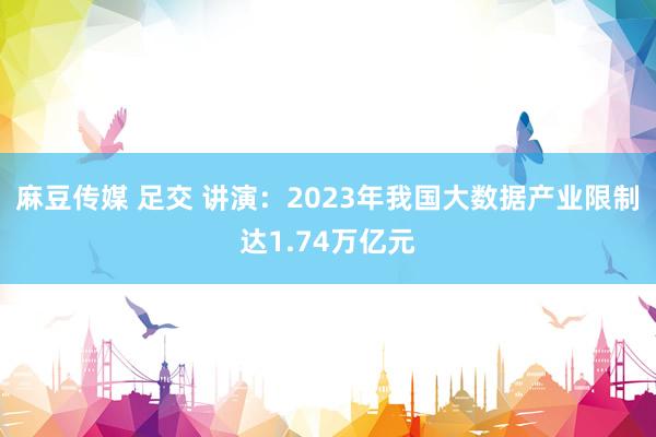 麻豆传媒 足交 讲演：2023年我国大数据产业限制达1.74万亿元