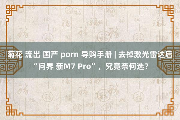 菊花 流出 国产 porn 导购手册 | 去掉激光雷达后“问界 新M7 Pro”，究竟奈何选？