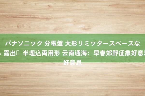 パナソニック 分電盤 大形リミッタースペースなし 露出・半埋込両用形 云南通海：早春郊野征象好意思