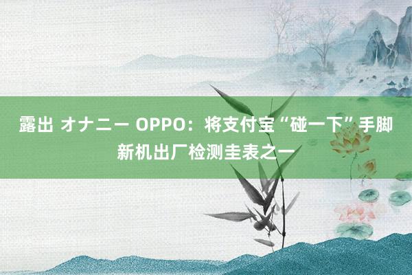 露出 オナニー OPPO：将支付宝“碰一下”手脚新机出厂检测圭表之一