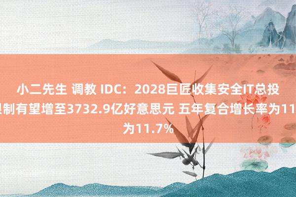 小二先生 调教 IDC：2028巨匠收集安全IT总投资限制有望增至3732.9亿好意思元 五年复合增长率为11.7%