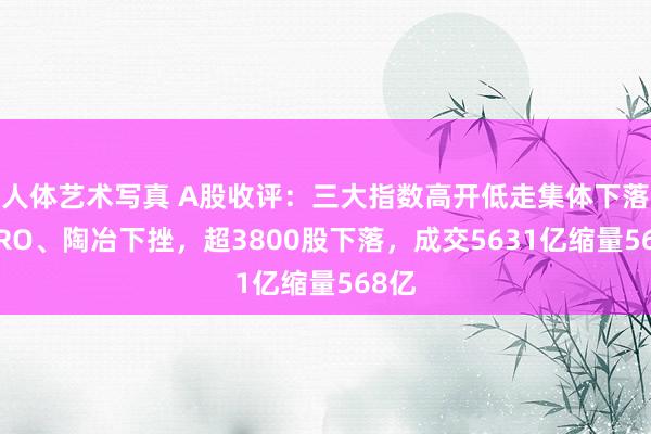 人体艺术写真 A股收评：三大指数高开低走集体下落！CRO、陶冶下挫，超3800股下落，成交5631亿缩量568亿