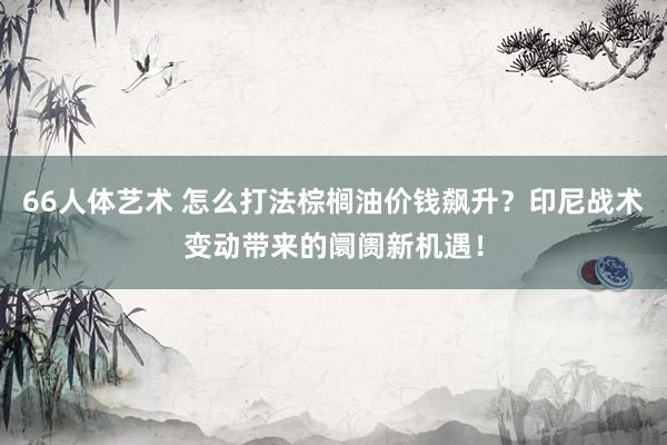 66人体艺术 怎么打法棕榈油价钱飙升？印尼战术变动带来的阛阓新机遇！