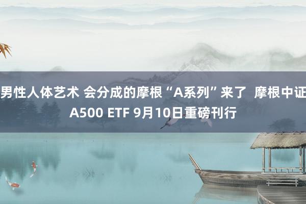 男性人体艺术 会分成的摩根“A系列”来了  摩根中证A500 ETF 9月10日重磅刊行