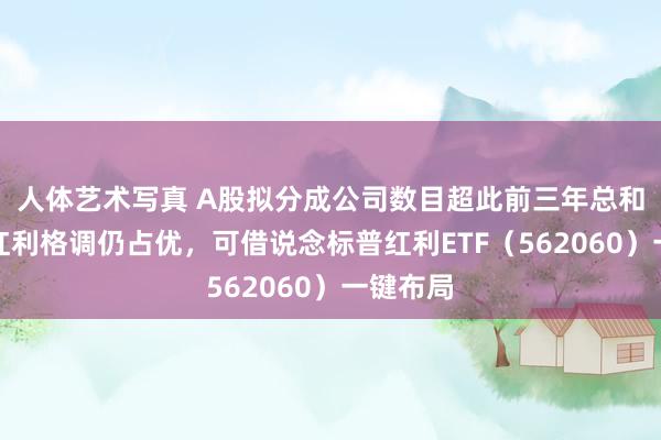 人体艺术写真 A股拟分成公司数目超此前三年总和，刻下红利格调仍占优，可借说念标普红利ETF（562060）一键布局