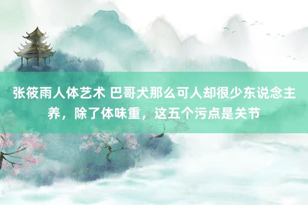 张筱雨人体艺术 巴哥犬那么可人却很少东说念主养，除了体味重，这五个污点是关节