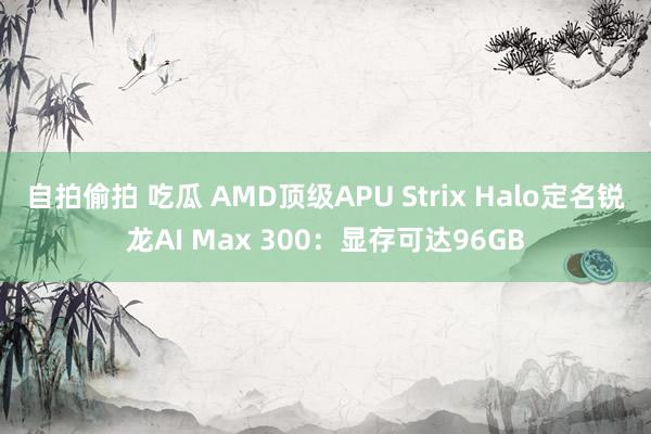 自拍偷拍 吃瓜 AMD顶级APU Strix Halo定名锐龙AI Max 300：显存可达96GB