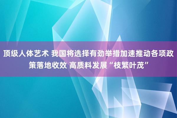 顶级人体艺术 我国将选择有劲举措加速推动各项政策落地收效 高质料发展“枝繁叶茂”