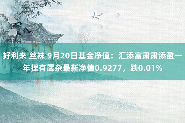 好利来 丝袜 9月20日基金净值：汇添富肃肃添盈一年捏有羼杂最新净值0.9277，跌0.01%