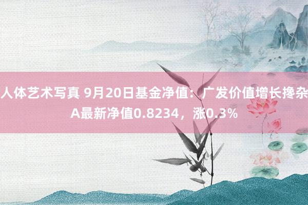 人体艺术写真 9月20日基金净值：广发价值增长搀杂A最新净值0.8234，涨0.3%