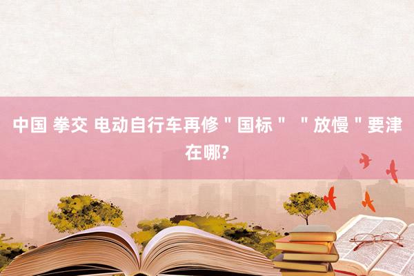 中国 拳交 电动自行车再修＂国标＂ ＂放慢＂要津在哪?