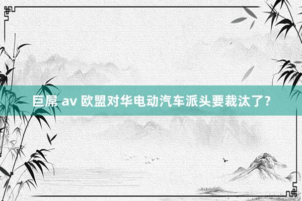 巨屌 av 欧盟对华电动汽车派头要裁汰了？