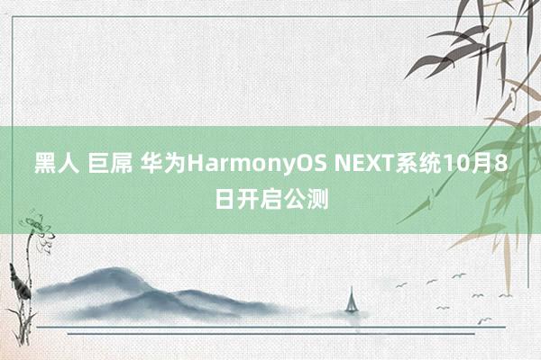 黑人 巨屌 华为HarmonyOS NEXT系统10月8日开启公测