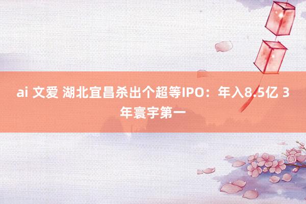 ai 文爱 湖北宜昌杀出个超等IPO：年入8.5亿 3年寰宇第一