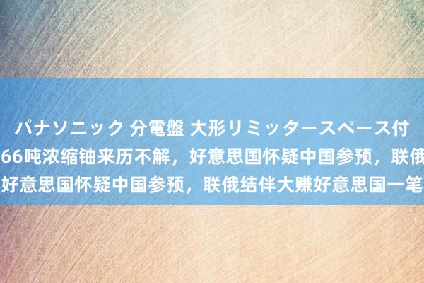 パナソニック 分電盤 大形リミッタースペース付 露出・半埋込両用形 366吨浓缩铀来历不解，好意思国怀疑中国参预，联俄结伴大赚好意思国一笔