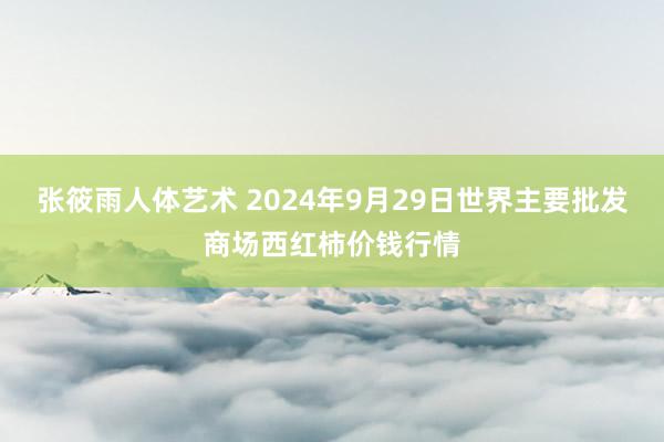 张筱雨人体艺术 2024年9月29日世界主要批发商场西红柿价钱行情