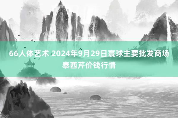 66人体艺术 2024年9月29日寰球主要批发商场泰西芹价钱行情