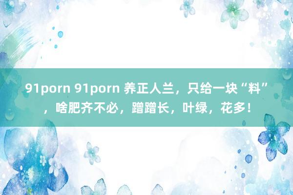 91porn 91porn 养正人兰，只给一块“料”，啥肥齐不必，蹭蹭长，叶绿，花多！