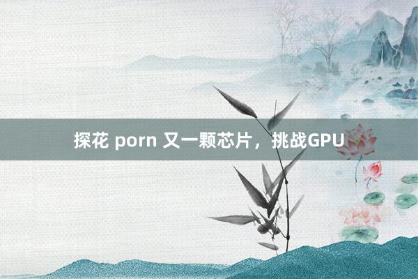 探花 porn 又一颗芯片，挑战GPU