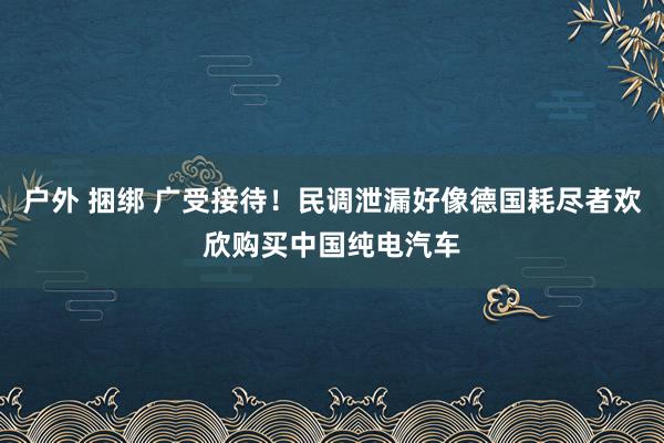 户外 捆绑 广受接待！民调泄漏好像德国耗尽者欢欣购买中国纯电汽车