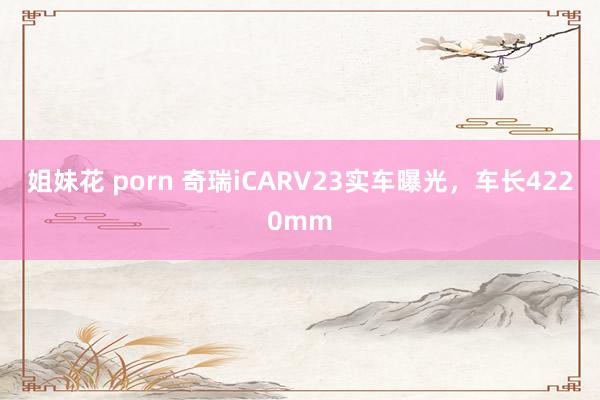 姐妹花 porn 奇瑞iCARV23实车曝光，车长4220mm