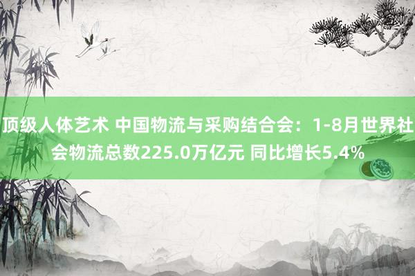 顶级人体艺术 中国物流与采购结合会：1-8月世界社会物流总数225.0万亿元 同比增长5.4%