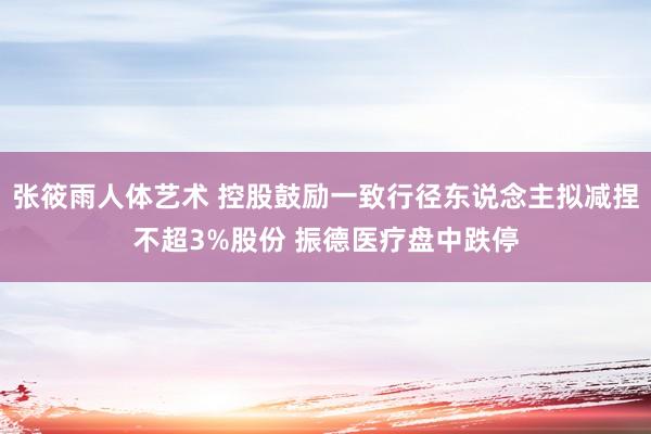 张筱雨人体艺术 控股鼓励一致行径东说念主拟减捏不超3%股份 振德医疗盘中跌停