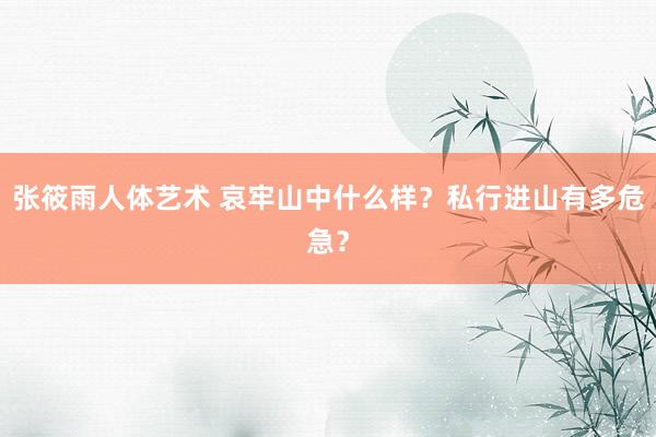 张筱雨人体艺术 哀牢山中什么样？私行进山有多危急？