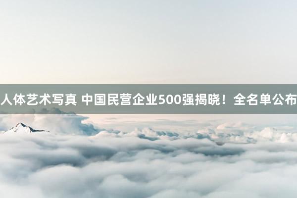 人体艺术写真 中国民营企业500强揭晓！全名单公布