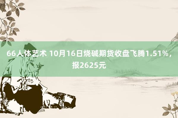 66人体艺术 10月16日烧碱期货收盘飞腾1.51%，报2625元