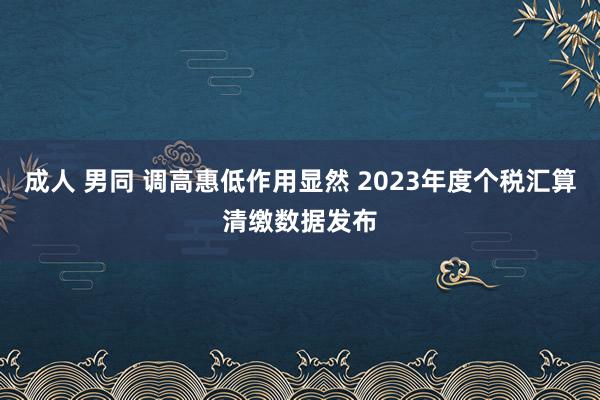 成人 男同 调高惠低作用显然 2023年度个税汇算清缴数据发布