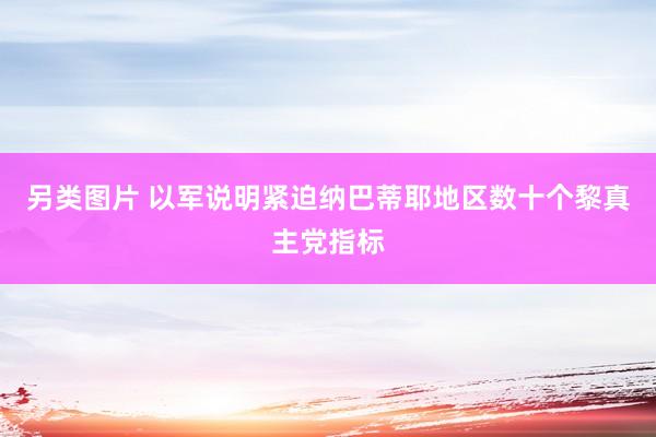 另类图片 以军说明紧迫纳巴蒂耶地区数十个黎真主党指标