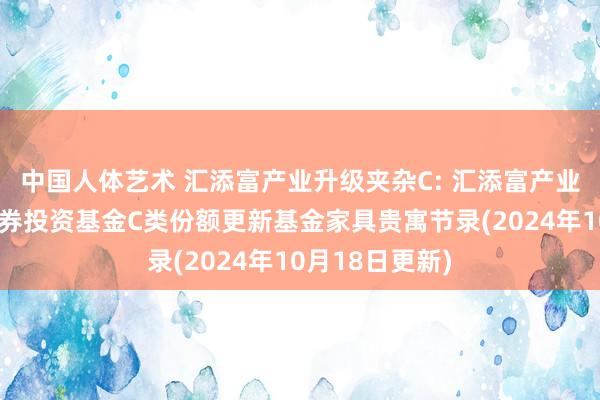 中国人体艺术 汇添富产业升级夹杂C: 汇添富产业升级夹杂型证券投资基金C类份额更新基金家具贵寓节录(2024年10月18日更新)