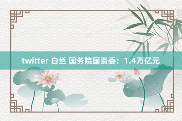 twitter 白丝 国务院国资委：1.4万亿元