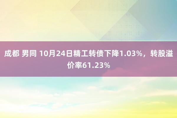 成都 男同 10月24日精工转债下降1.03%，转股溢价率61.23%