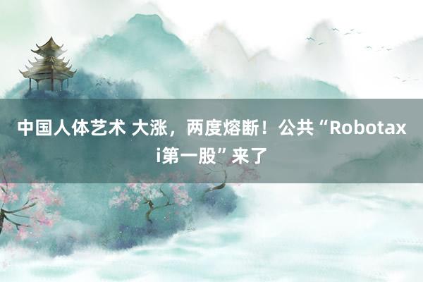 中国人体艺术 大涨，两度熔断！公共“Robotaxi第一股”来了