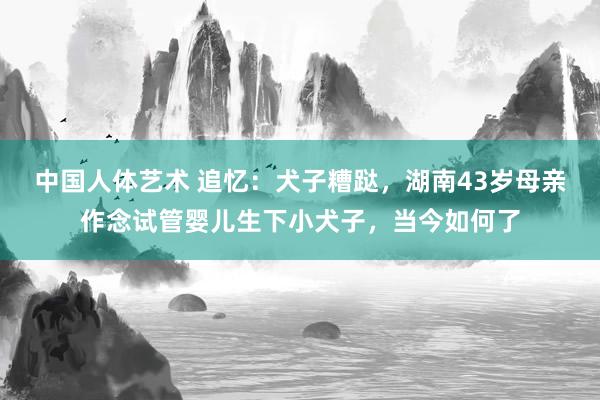 中国人体艺术 追忆：犬子糟跶，湖南43岁母亲作念试管婴儿生下小犬子，当今如何了