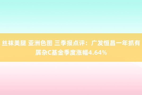 丝袜美腿 亚洲色图 三季报点评：广发恒昌一年抓有羼杂C基金季度涨幅4.64%