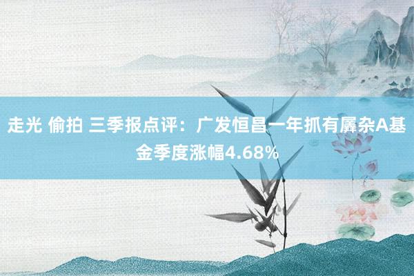 走光 偷拍 三季报点评：广发恒昌一年抓有羼杂A基金季度涨幅4.68%