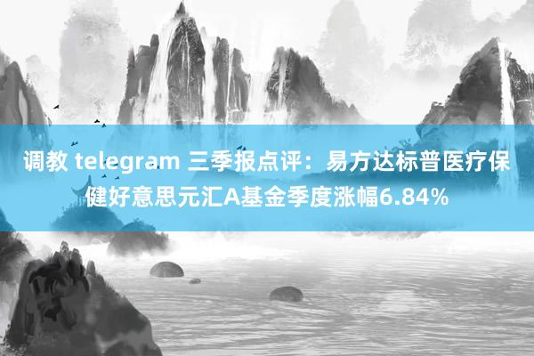 调教 telegram 三季报点评：易方达标普医疗保健好意思元汇A基金季度涨幅6.84%