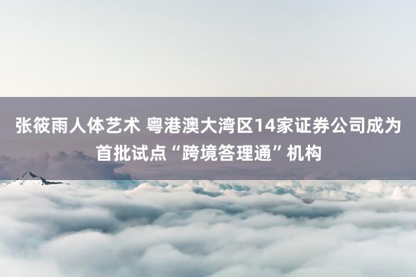 张筱雨人体艺术 粤港澳大湾区14家证券公司成为首批试点“跨境答理通”机构