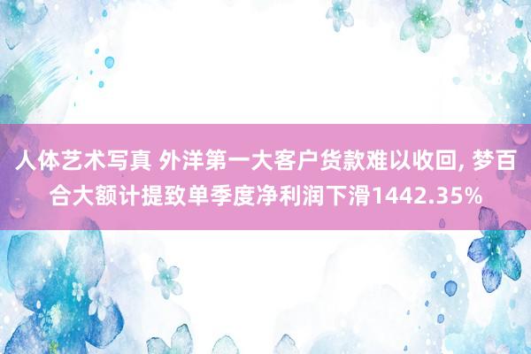 人体艺术写真 外洋第一大客户货款难以收回， 梦百合大额计提致单季度净利润下滑1442.35%