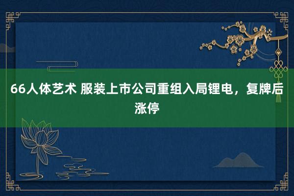 66人体艺术 服装上市公司重组入局锂电，复牌后涨停