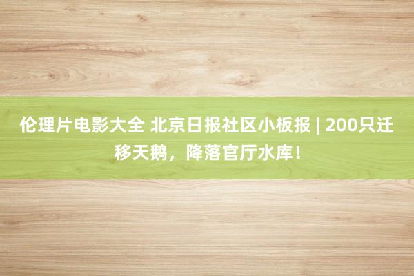 伦理片电影大全 北京日报社区小板报 | 200只迁移天鹅，降落官厅水库！