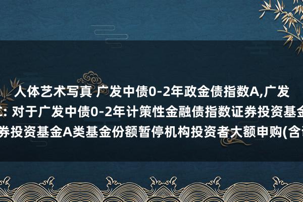 人体艺术写真 广发中债0-2年政金债指数A，广发中债0-2年政金债指数C: 对于广发中债0-2年计策性金融债指数证券投资基金A类基金份额暂停机构投资者大额申购(含调治转入)业务的公告