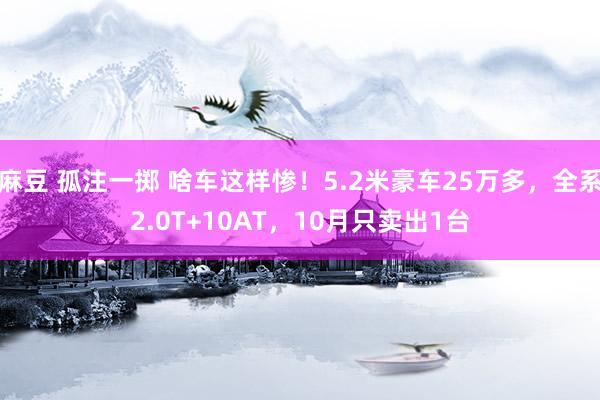 麻豆 孤注一掷 啥车这样惨！5.2米豪车25万多，全系2.0T+10AT，10月只卖出1台