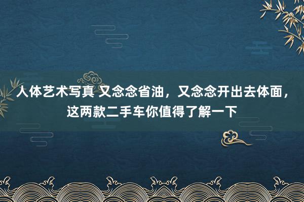 人体艺术写真 又念念省油，又念念开出去体面，这两款二手车你值得了解一下