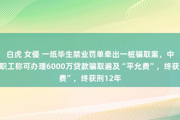 白虎 女優 一纸毕生禁业罚单牵出一桩骗取案，中信银行职工称可办理6000万贷款骗取遍及“平允费”，终获刑12年